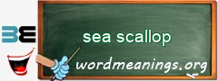 WordMeaning blackboard for sea scallop